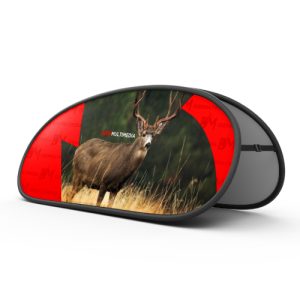 Pop Up Banner (2000mm x 1000mm)