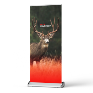 Executive Stand Pull Up Bannner 840mm x 2M